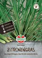 Zitronengras 'East Indian' - Cymbopogon flexuosus, Topfpflanze, Samen, 84783