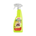 SONAX InsektenStar Insektenentferner Insektenlöser 750 ml 02334000