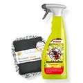 SET - SONAX InsektenStar Insektenentferner + Insektenschwamm schwarz