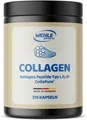 Kollagen Kapseln 4550mg pro Tagesdosis reine Collagen Hydrolisat Peptide von Wehle Sports