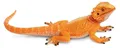 Safari Ltd Bartagamenfigur Orange From 3 Years Kinder Orange From 3 Years