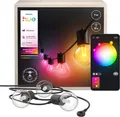 Philips Hue Lichterkette White & Color Ambiance Festavia Globe Outdoor