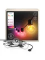 Philips Hue Festavia Globe outdoor string lights 7 m
