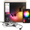 Philips Hue Outdoor-Lichterkette Festavia Globe 7 m