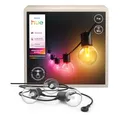 Philips Hue Festavia Globe Außenlichterkette, White & Color Ambiance, 7 M LED Lichterkette, 10 Lampenkugeln, dimmbare Gartenbeleuchtung funktioniert per Hue App, Alexa, Google Assistant, Apple Home
