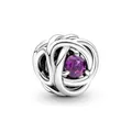 PANDORA Februar Geburtsstein Violetter Ewigkeitskreis Charm aus Sterling-Silber mit Kristallen, 790065C02