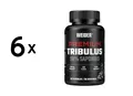6 x Weider Premium Tribulus (90 Caps) (143,86 EUR/kg)