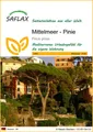 SAFLAX Blumensamen SAFLAX - Samen - Mittelmeer - Pinie