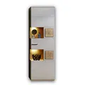 Stella Trading FUN PLUS 2 Große Vitrine in Basalt mit schönen Hirnholz-Applikationen - Glasvitrine inkl. LED-Beleuchtung - 65 x 205 x 37 cm (B/H/T)