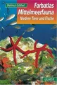 Mittelmeerfauna: Niedere Tiere und Fische: Niedere Tiere... | Buch | Zustand gut