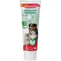Beaphar TOOTHPASTE MINT&PARSLEY – Zahnpasta – Minze/Petersilie