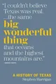 Harrigan, S: Big Wonderful Thing: A History of Texa... | Buch | Zustand sehr gut