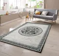 Moderner Teppich mit Glitzergarn Bordüre und Kreismuster in Grau Anthrazit Creme