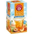 TEEKANNE Frio Tee Maracuja, Pfirsch 18 Stück à 2.5 g