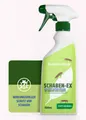 Futura-Shop Insektenspray Kakerlaken Spray, Schaben Spray - Alternative zu Kakerlaken Gel, 500 ml