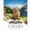 Linard. Der Murmelibuab