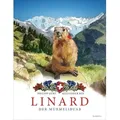 Linard. Der Murmelibuab von Philipp Gurt / Kampa Verlag / Buch