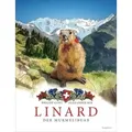 Linard. Der Murmelibuab