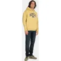 REELL Bequeme Jeans Spider braun W28-L30