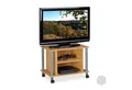 relaxdays TV-Regal TV Tisch mit Rollen und 2 Fächern, Holzoptik