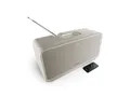 Teufel BOOMSTER Wireless Lautsprecher (Bluetooth, 42 W, DAB+, IPX5-Norm)