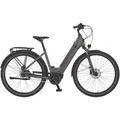 E-Bike PROPHETE "Geniesser 3.3" Gr. 48, braun, E-Bikes, 48cm, Topseller
