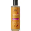 Urtekram Calendula, Kinder, Nicht-professionell, Shampoo, 250 ml, Feuchtigkeitsspendend, Weichmachend, Flasche
