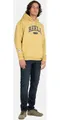 REELL Bequeme Jeans Spider