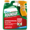 ROUNDUP® Express unkrautfrei 3 Liter für bis zu 100 m² anwendungsfertig