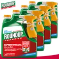 Roundup Unkrautfrei 4 x 3 l Express Sprühsystem Vorteilspackung Brennnessel