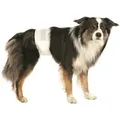 TRIXIE Windeln für erwachsene Hunde 12 Stück L-XL 60-80 cm