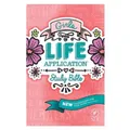 Tyndale Girls Life Application Study Bible-NLT (Gebundene Ausgabe)