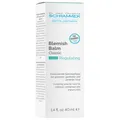 Dr. med. Christine SCHRAMMEK Regulating Blemish Balm Classic 40 ml