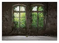 Fototapete Fenster Pflanzen Blätter Alte Mauer Vintage Betonoptik - inkl. Kleister - für Wohnzimmer Schlafzimmer Flur Vlies Tapete Vliestapete Wandtapete Motivtapeten Montagefertig (312x219 cm)