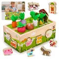 Montessori Spielzeug Holz Bauernhof tierfarben Motorik Lernspielzeug