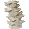 Vase, Beige, Keramik, organisch, 18x24x15 cm, Reach, nur zu Dekorationszwecken, Dekoration, Vasen, Keramikvasen