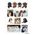 HERMA Sticker Hunde (72 Sticker) (15622)