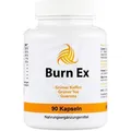 Burn Ex Grüner Kaffee Extrakt hochdosiert von EXVital, 90 Kapseln