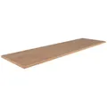 Arbeitsplatte APL210 in Eichefarben ca. 60x210cm