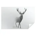 Wallarena Fototapete Hirsche Tier Schwarz-weiß Wohnzimmer Schlafzimmer Vlies Tapete, Premium Halbmatt Glatt Vlies, Hirsche, Tiere, Grau, (Packung, Vlies Fototapete), Fototapete Wohnzimmer Schlafzimmer - Vliestapete inklusive Kleister 4 m x 2.8 m