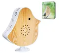 Northpoint LED Dekolicht Naturgeräusche Box Vogel Sound Box Echtholz