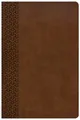 CSB Bibles by H CSB Everyday Study Bible, British Ta (Leather Bound) (US IMPORT)