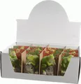 Frosch mit Sensor und Ton 3 verschiedene Modelle 8x7,4x11,5cm euro/u