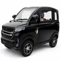 Urban Hopper Elektro Kabinenroller 4-Rad 45km/h 2kW 60V 58Ah Blei-Gel Schwarz