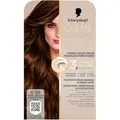 Garnier Schwarzkopf Creme Supreme Hair Color Shade 668 Light Caramel Brown (Hellbraun) (64423709)