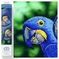 DIAMOND DOTZ DD9.023 - Original 5D Diamond Painting Set Blaue Papageien, Kreativset mit 14.022 Diamant Mosaiksteinen, Malset ca. 37 x 52 cm, DIY Komplettset für Erwachsene und Kinder ab 8 Jahren