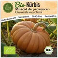 Kürbis Samen (BIO) - 5 Samen Gemüsesamen Kürbissamen Muscat de Provence