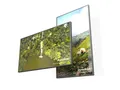 DynaScan DS752LT5 75" Display