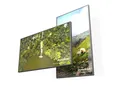 DynaScan DS752LT5 75" Digital Signage Display 1000024621