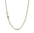 Pandora Charm-Kette SHINE-369260C00